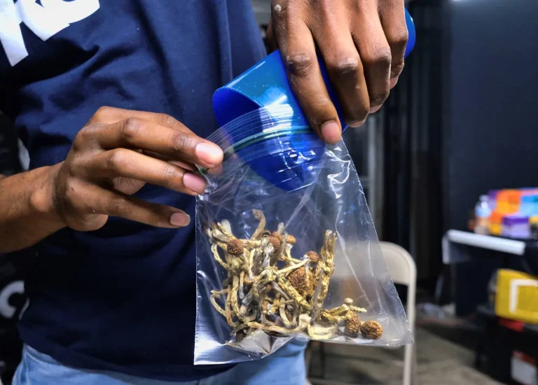 Psilocybin Mushroom Dispensary Digital Marketing