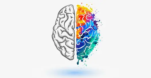 Psychedelic Digital Marketing Agency