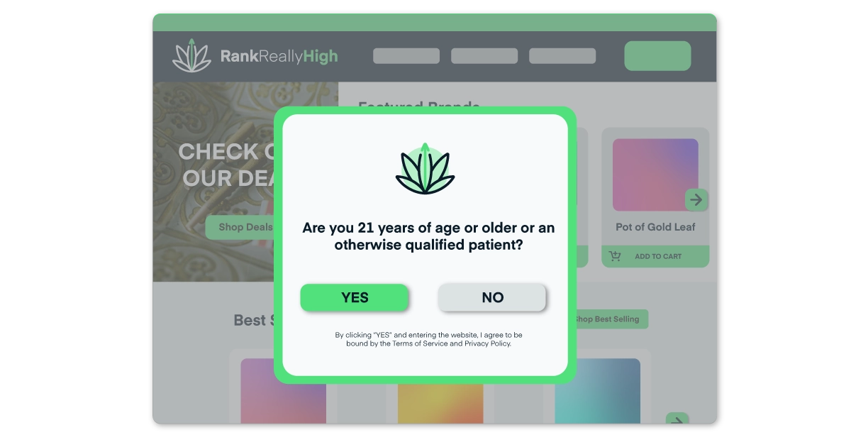 Age Verification Plug-Ins