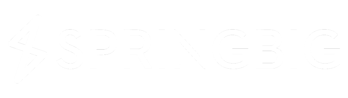 Spring Big Partner Logo