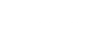 Rank Really High Partner SpringBig