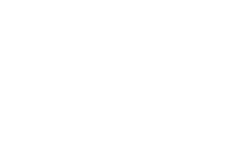 Nirvanna Partner Logo