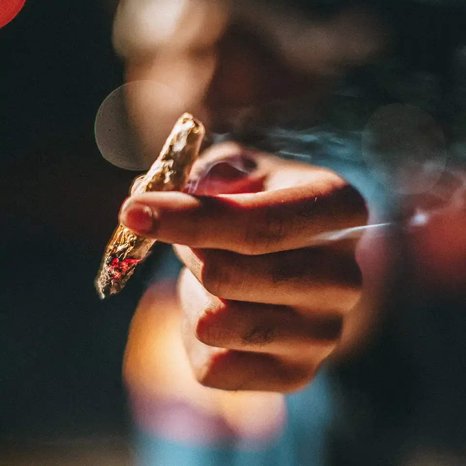 Rank Really High Cannabis Dispensary Referral Program Rank Really High Cannabis Dispensary Referral Program